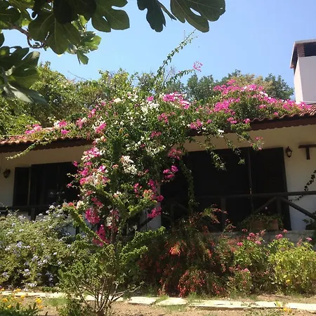 Selimiye Houses * Selimiye