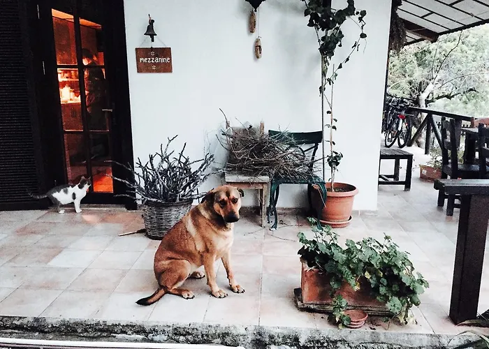 Villa Selimiye Houses *