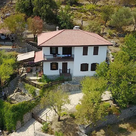 Selimiye Houses *